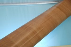 PLASTIC ADHESIVE AULNE MOYEN