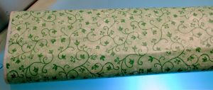 ADHESIVE PLASTIC RAMAGE VERT
