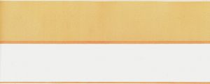 ORANGE / WHITE STRIPE EDGE 404-01