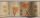 PAPER EDGE WITH EMBOSSED EFFECT ORANGE FLOWERS