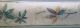 BORDER ADHESIVE WITH GREEN LEAVES 174389