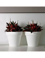 VASO MINI IKON  PER FIORI DA INTERNO CM 20