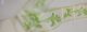 TRANSPARENT BORDER GREEN LEAF 3 MTX 8 H CM