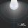 Lampadina LED Chip Samsung E27 5,5W G45 3000K Bianco caldo
