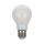 Lampadina LED E27 9W A++ A67 Filamento Satinato 2700K Bianco caldo