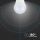 Lampadina LED E27 5,5W G45 2700K (Box 3 pezzi) Bianco caldo
