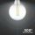 Lampadina LED E27 12,5W G125 Filamento 6500K Bianco freddo
