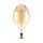 Lampadina LED E27 8W BF180 Filamento Ambrato 2000K Dimmerabile