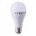 Lampadina LED E27 12W A60 2700K CRI>95