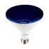 Lampadina LED E27 17W PAR38 Colore Blu IP65
