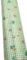  GREEN VEGETABLE ADHESIVE PLASTIC