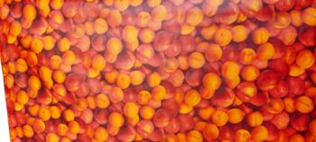 Apricot tablecloths