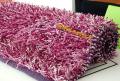 TAPIS SHAGGY 300 X 200 FUCSIA