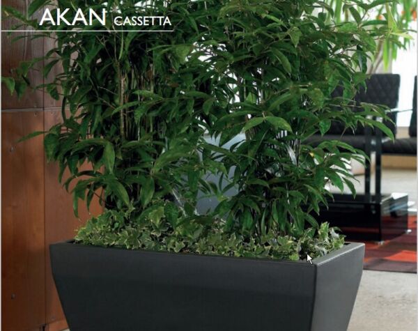 VASO AKAN RETTANGOLARE  CM 80X40HX h33   (CASSETTA)