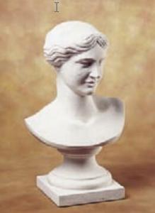 VENUS BUST    