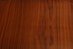 MACASSAR ADHESIVE PLASTIC
