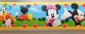 DISNEY BORDER ADHESIVE