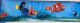 BORDER ADHESIVE FINDING NEMO