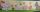 FARMYARD BORDER ADHESIVE