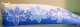 BORDURE ADHÉSIVE  DAISY TRAIL BLEU